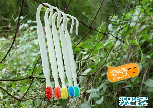 挂钩牙刷：Hooking Toothbrush..jpg